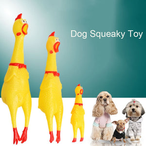 Hot Sell Screaming Chicken-Dog Toys Squeeze Squeaky Sound-Funny Toy